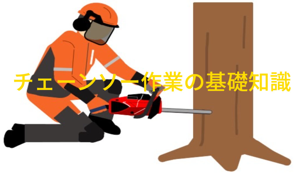 林業のチェーンソーマン】どんな仕事をしているのかを紹介