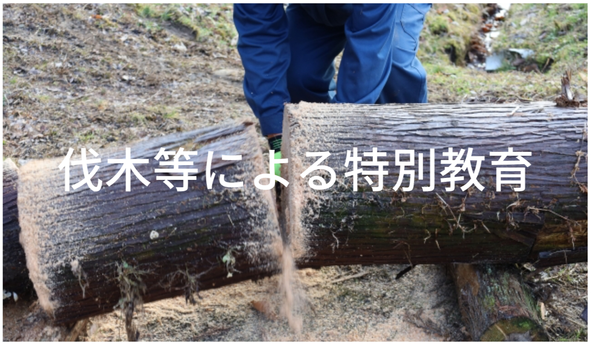【チェーンソーによる伐木等の特別教育】を受けてみた感想